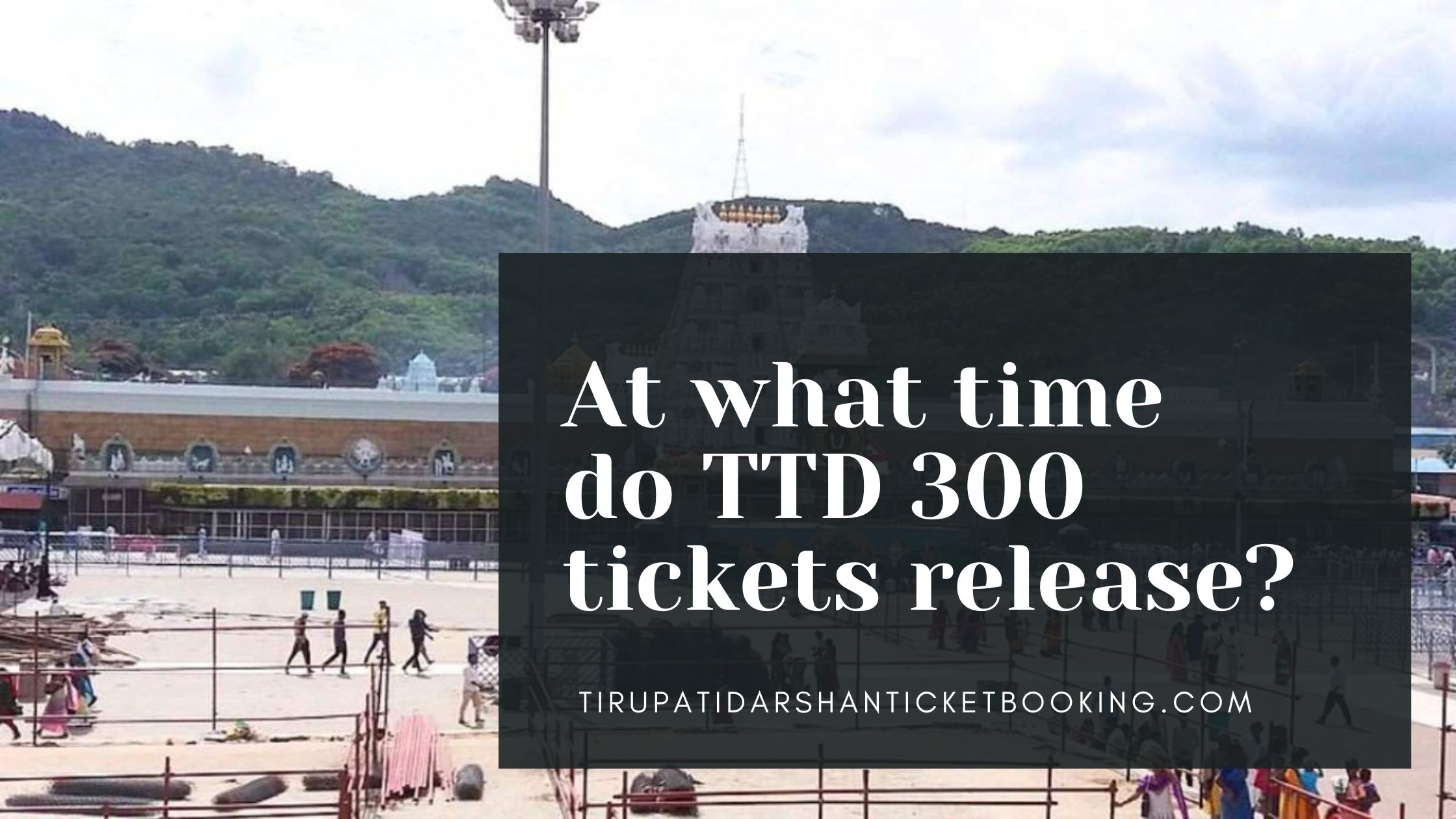 At what time do TTD 300 tickets release?                                                                             