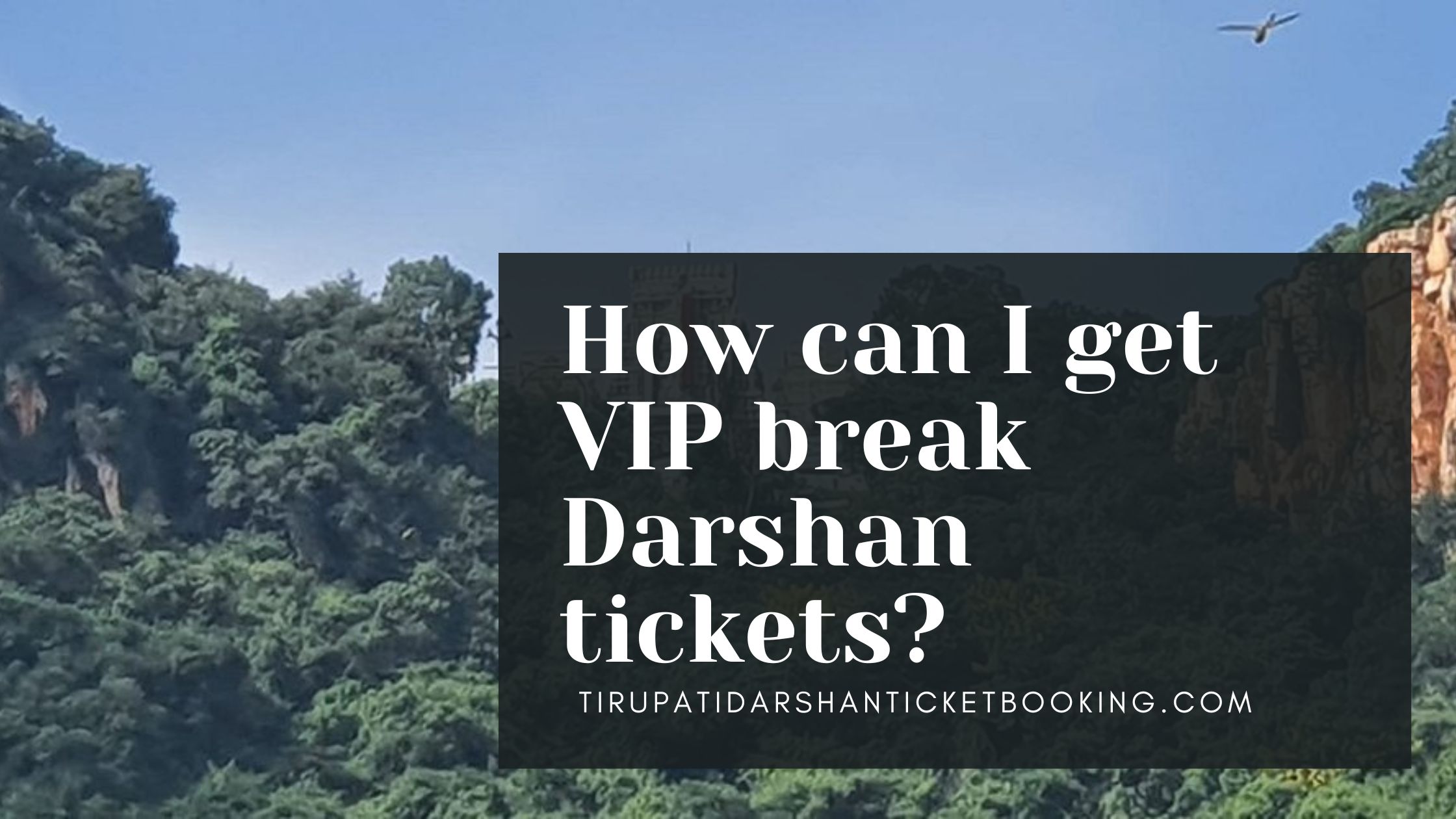 How can I get VIP break Darshan tickets?                                                                             
