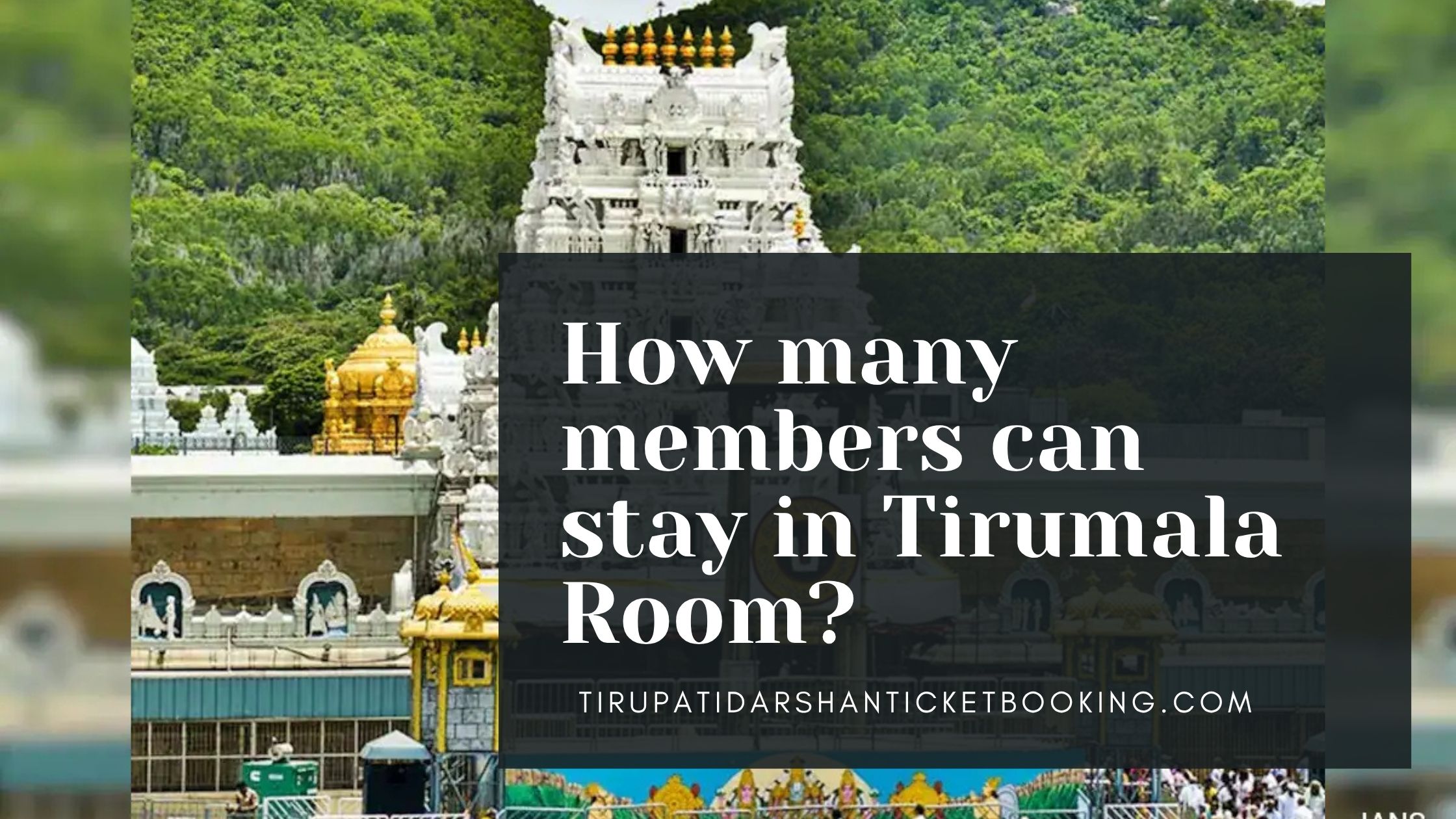 How many members can stay in Tirumala Room?                                                                             