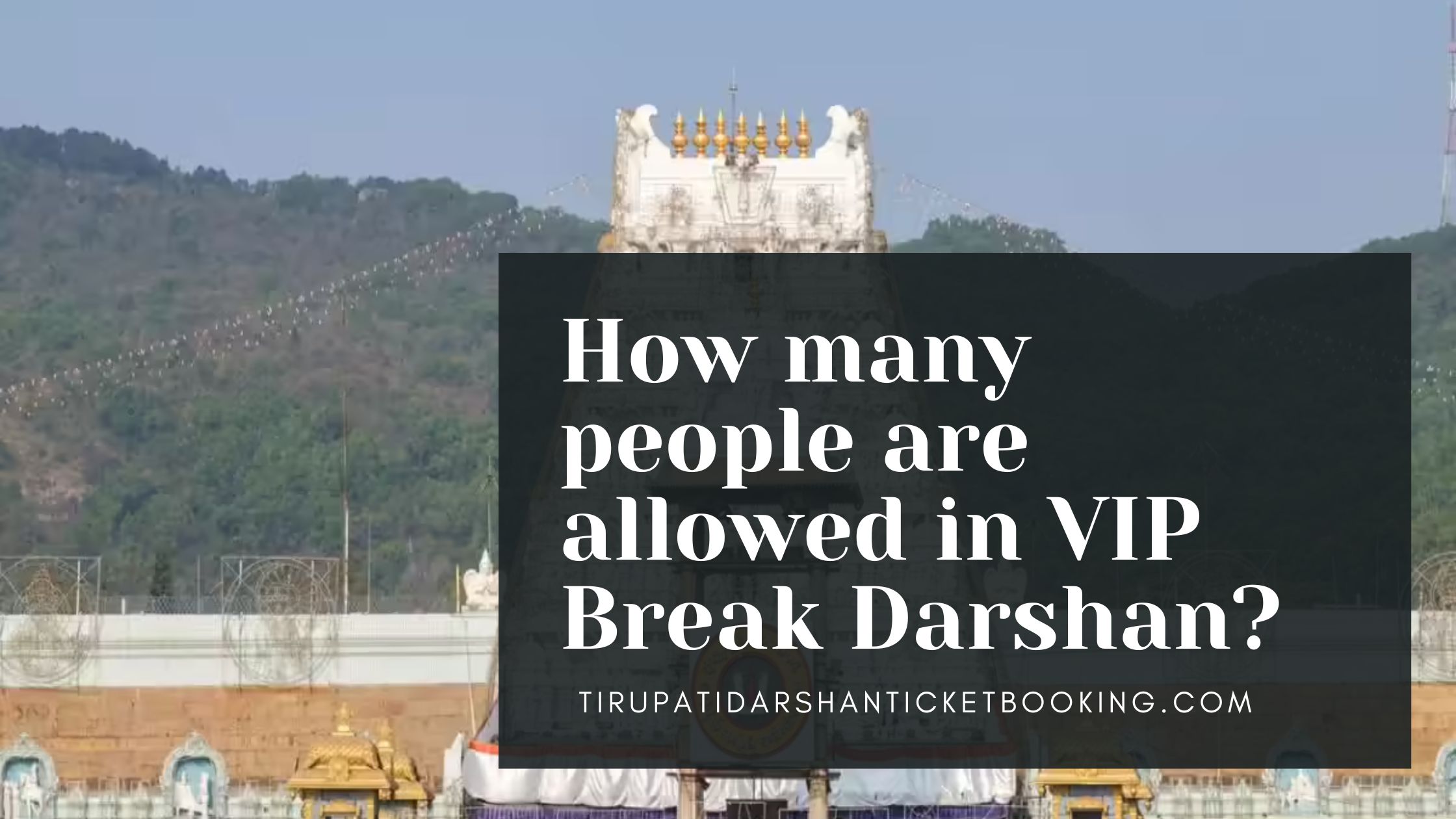 How many people are allowed in VIP Break Darshan?                                                                             