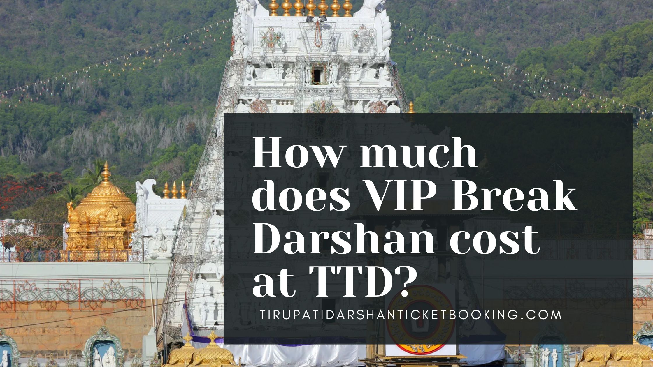How much does VIP Break Darshan cost at TTD?                                                                             