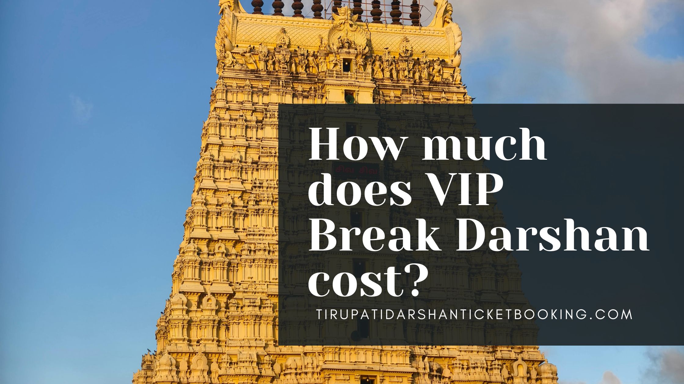 How much does VIP Break Darshan cost?                                                                             