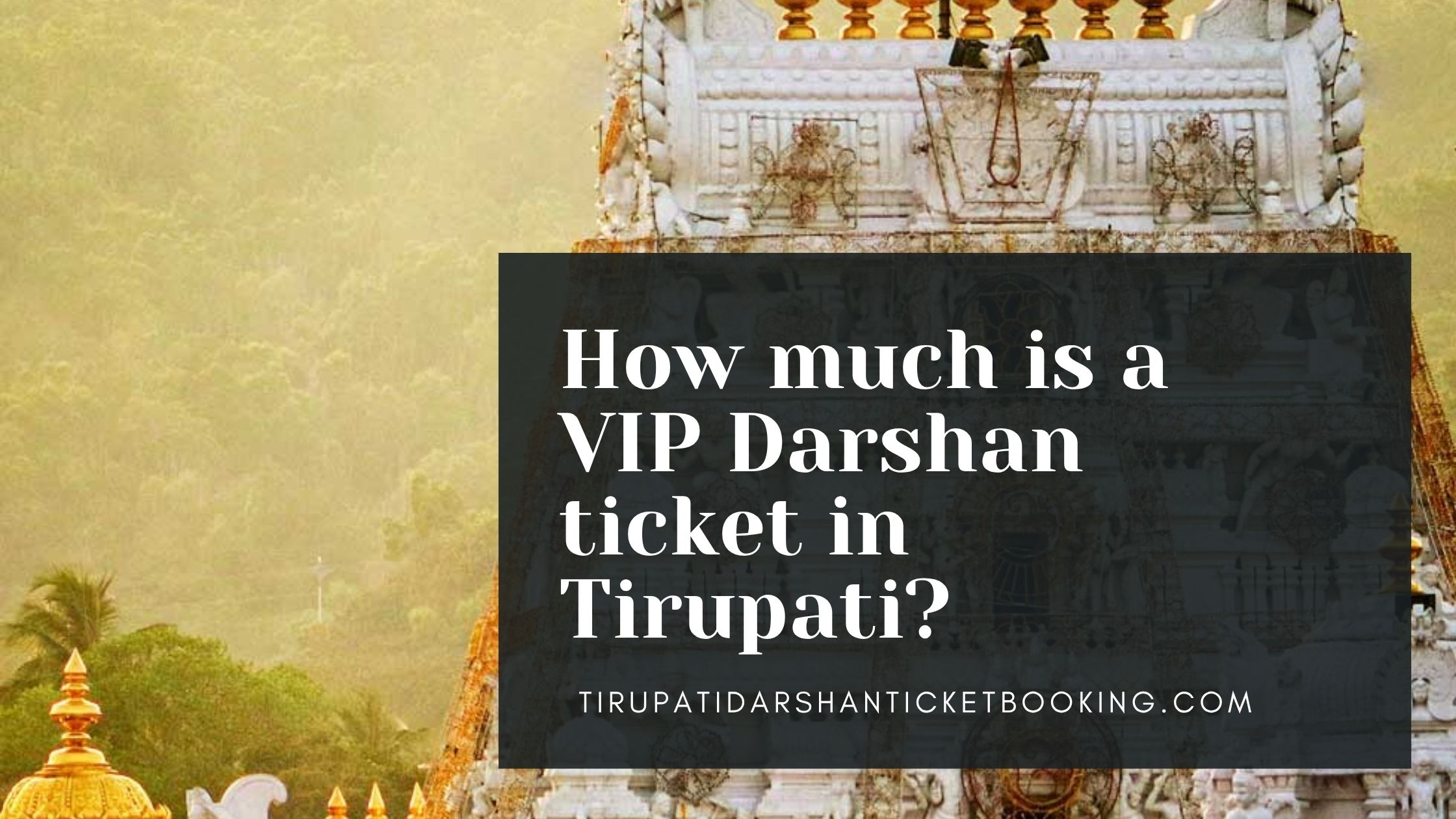 How much is a VIP Darshan ticket in Tirupati?                                                                             