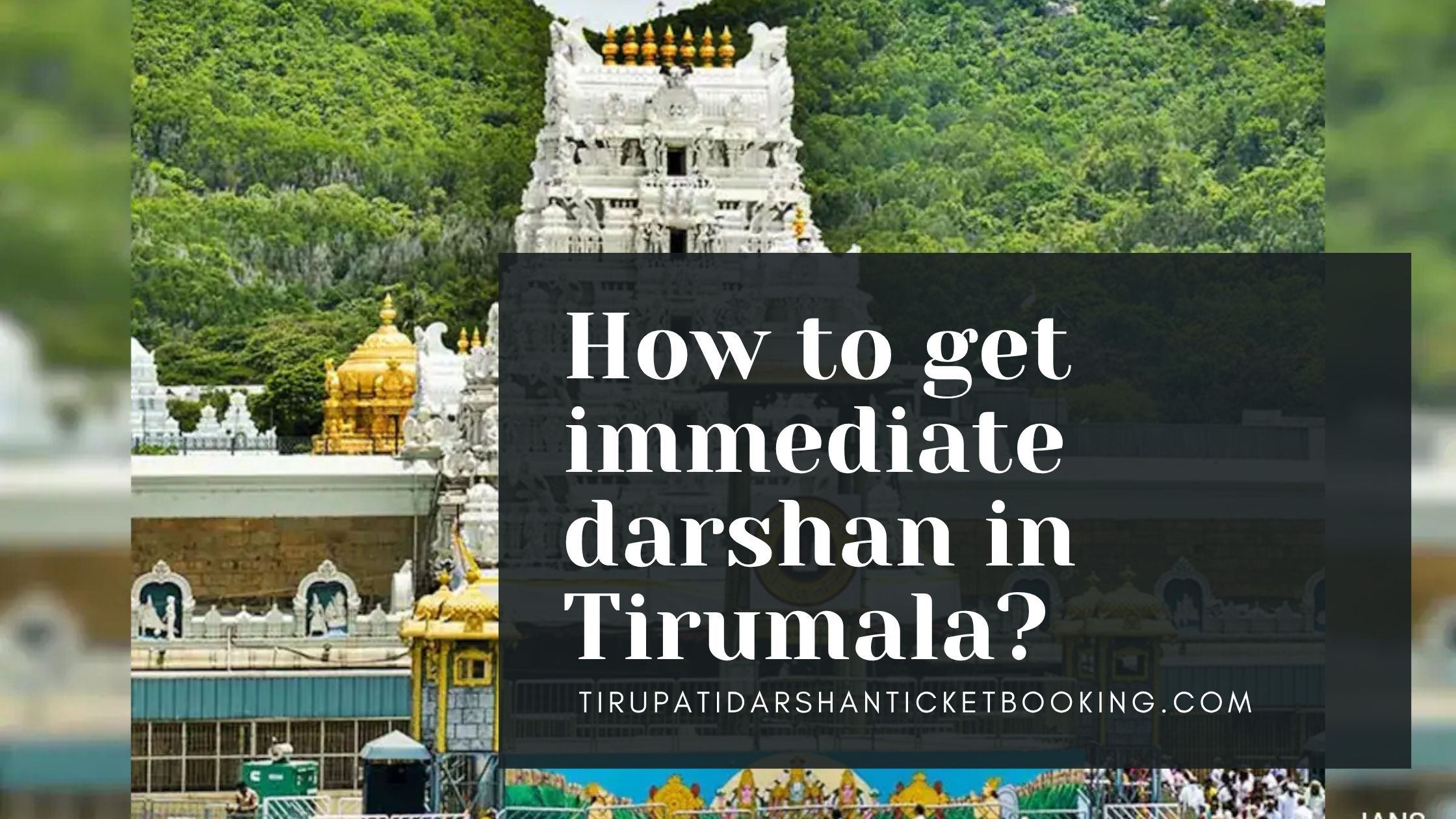 How to get immediate darshan in Tirumala?                                                                             