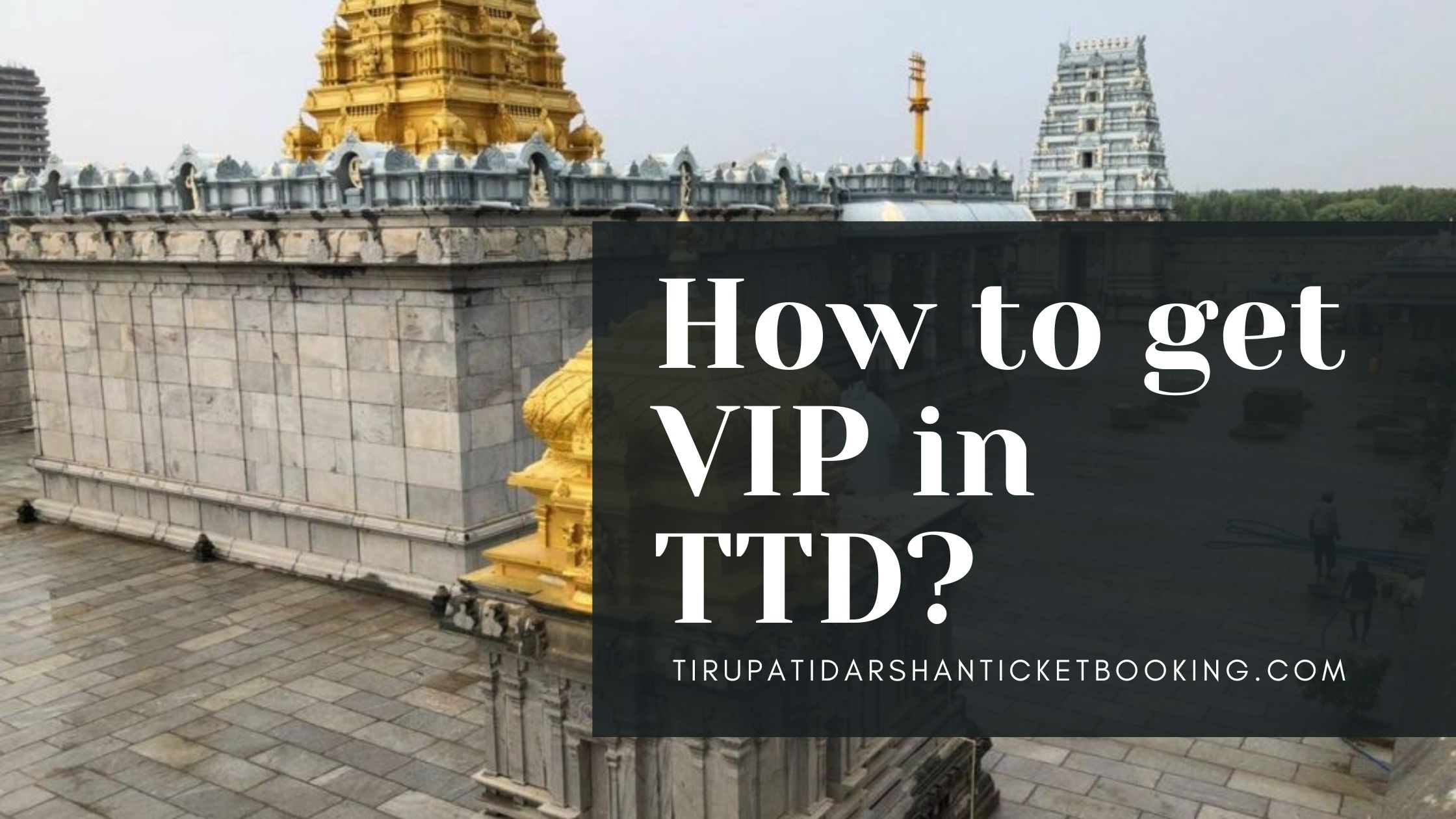 How to get VIP in TTD?                                                                             