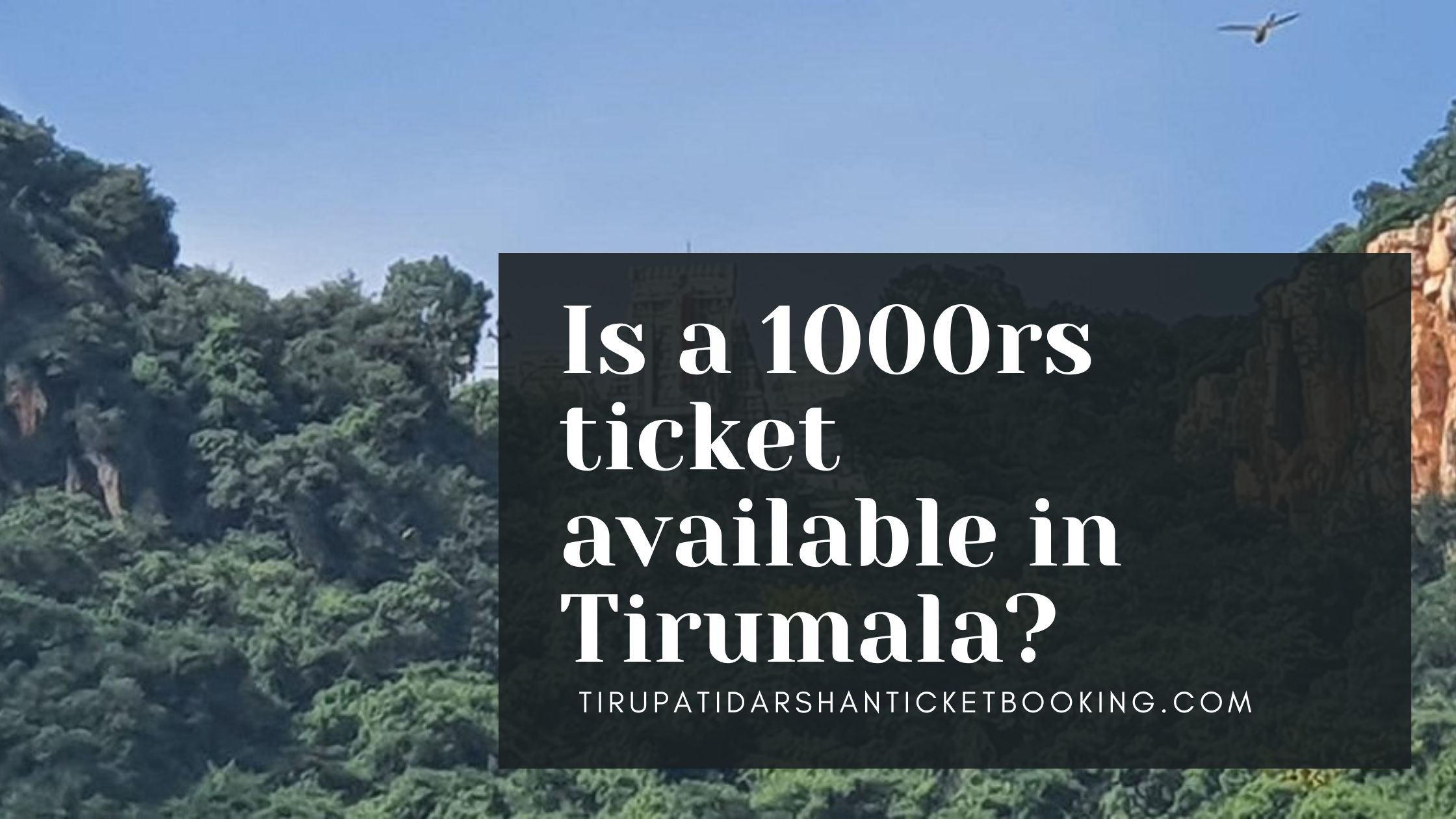 Is a 1000rs ticket available in Tirumala?                                                                             