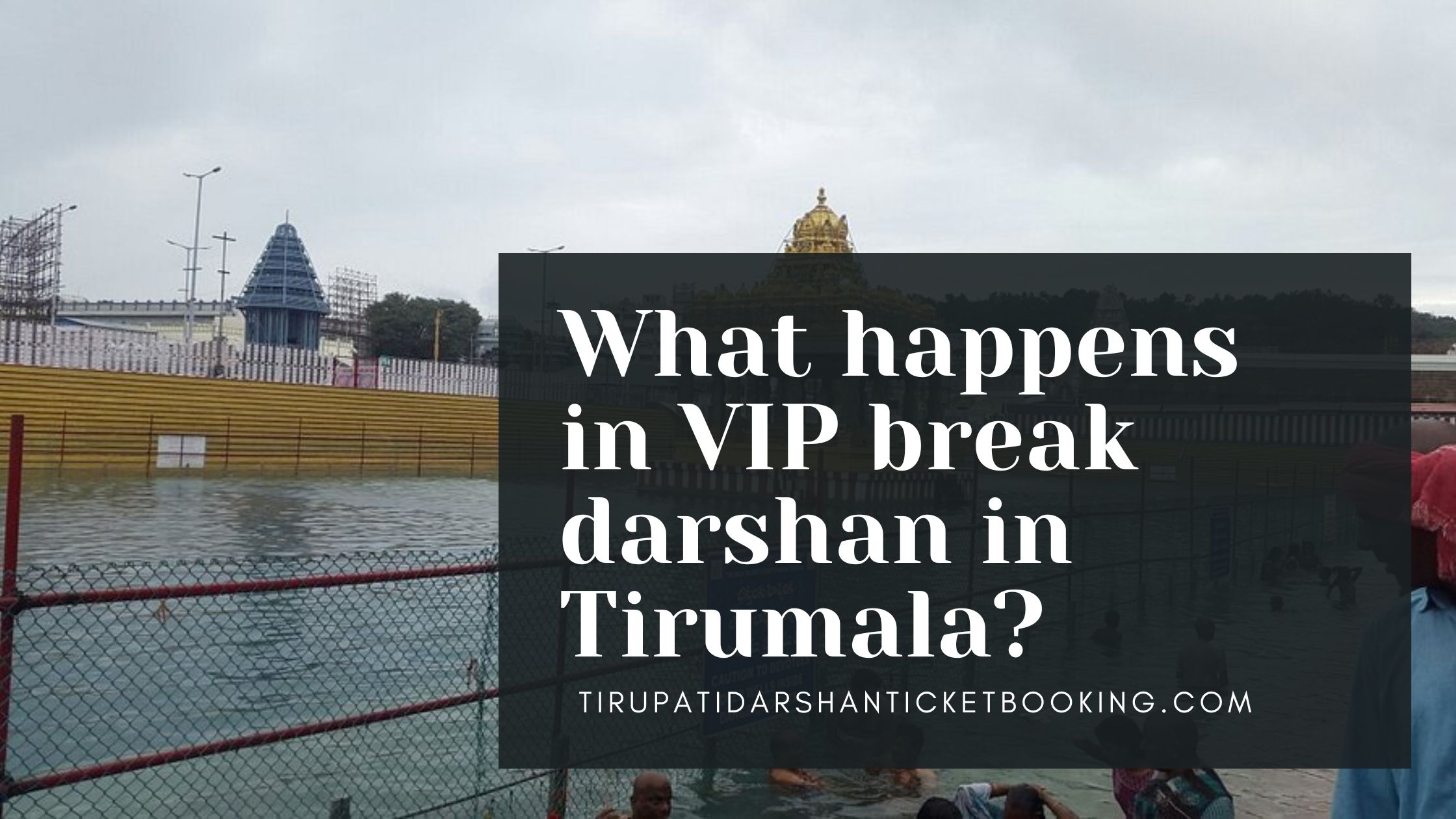 What happens in VIP break darshan in Tirumala?                                                                            