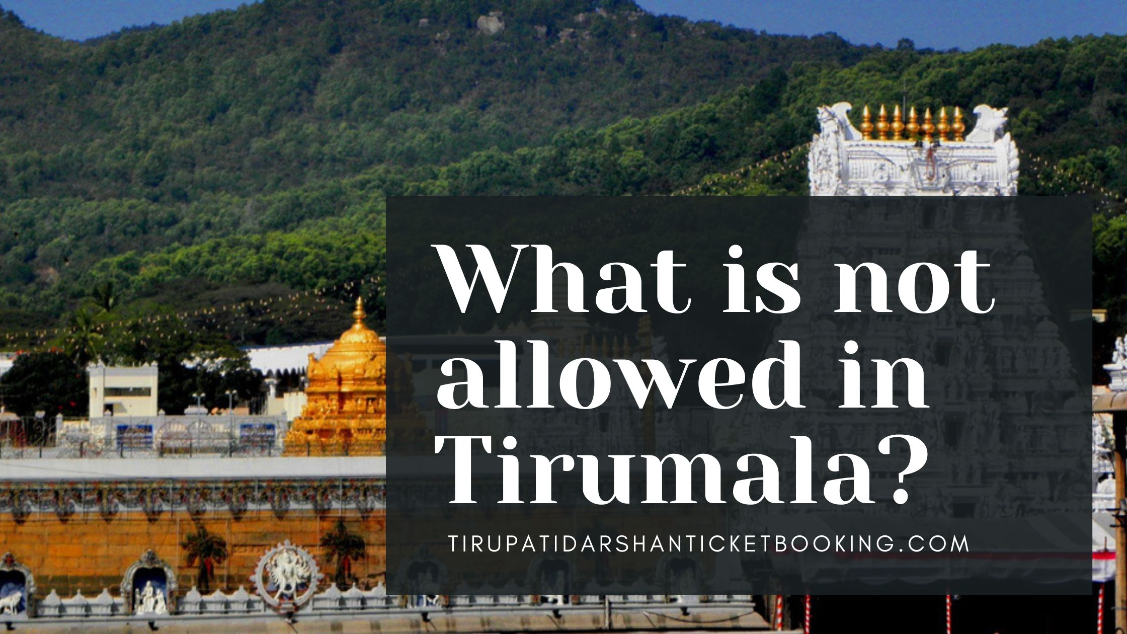 What is not allowed in Tirumala?                                                                             