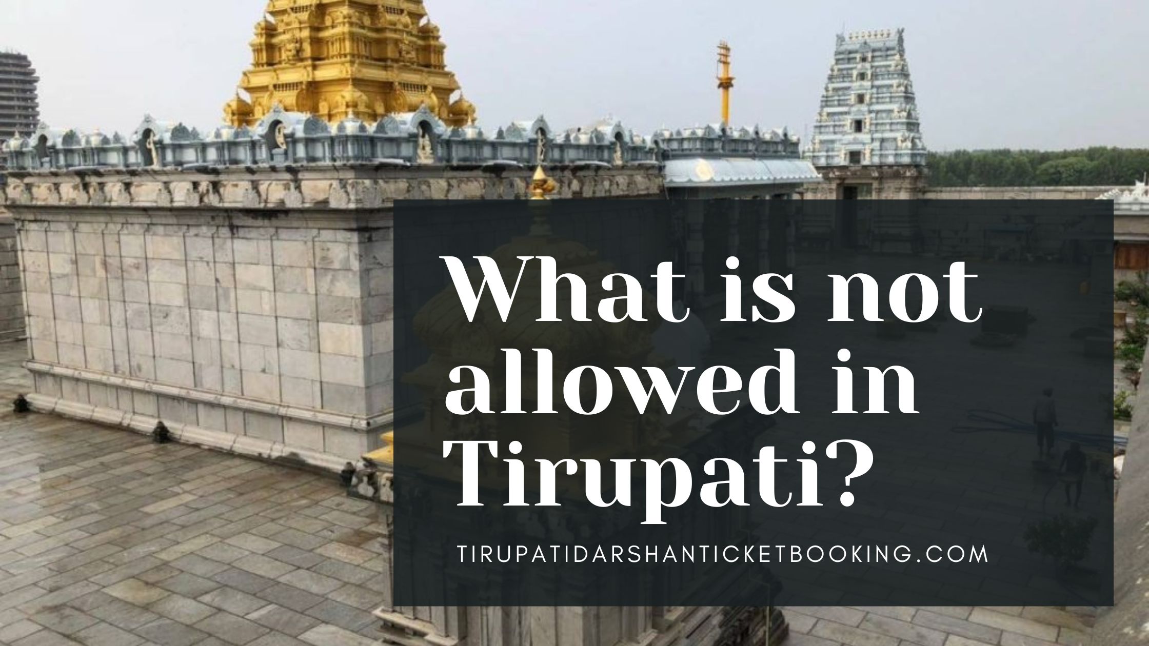 What is not allowed in Tirupati?                                                                             