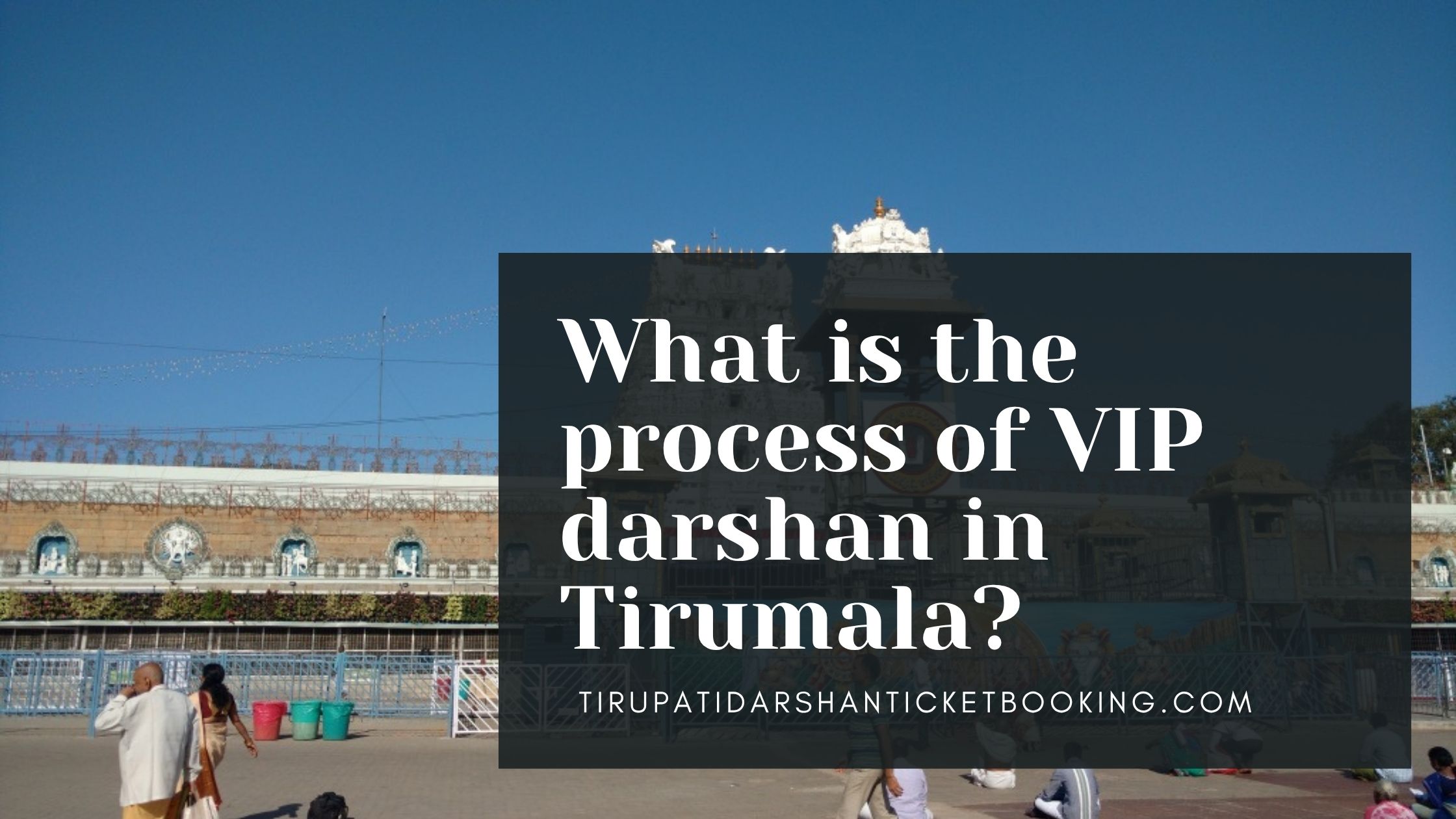 What is the process of VIP darshan in Tirumala?                                                                             
