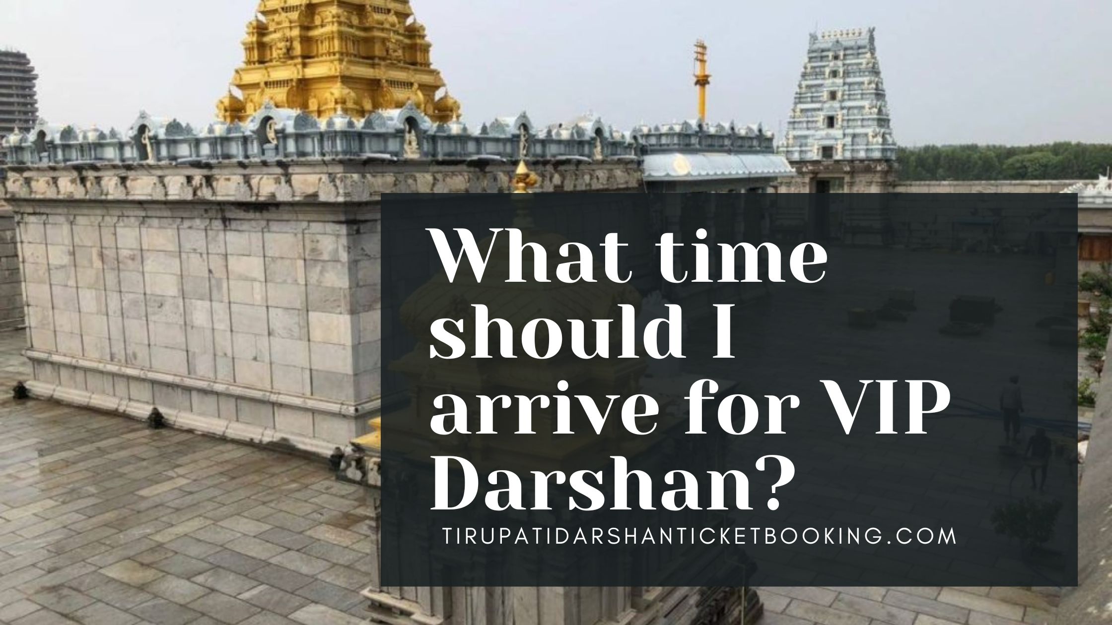 What time should I arrive for VIP Darshan?                                                                             