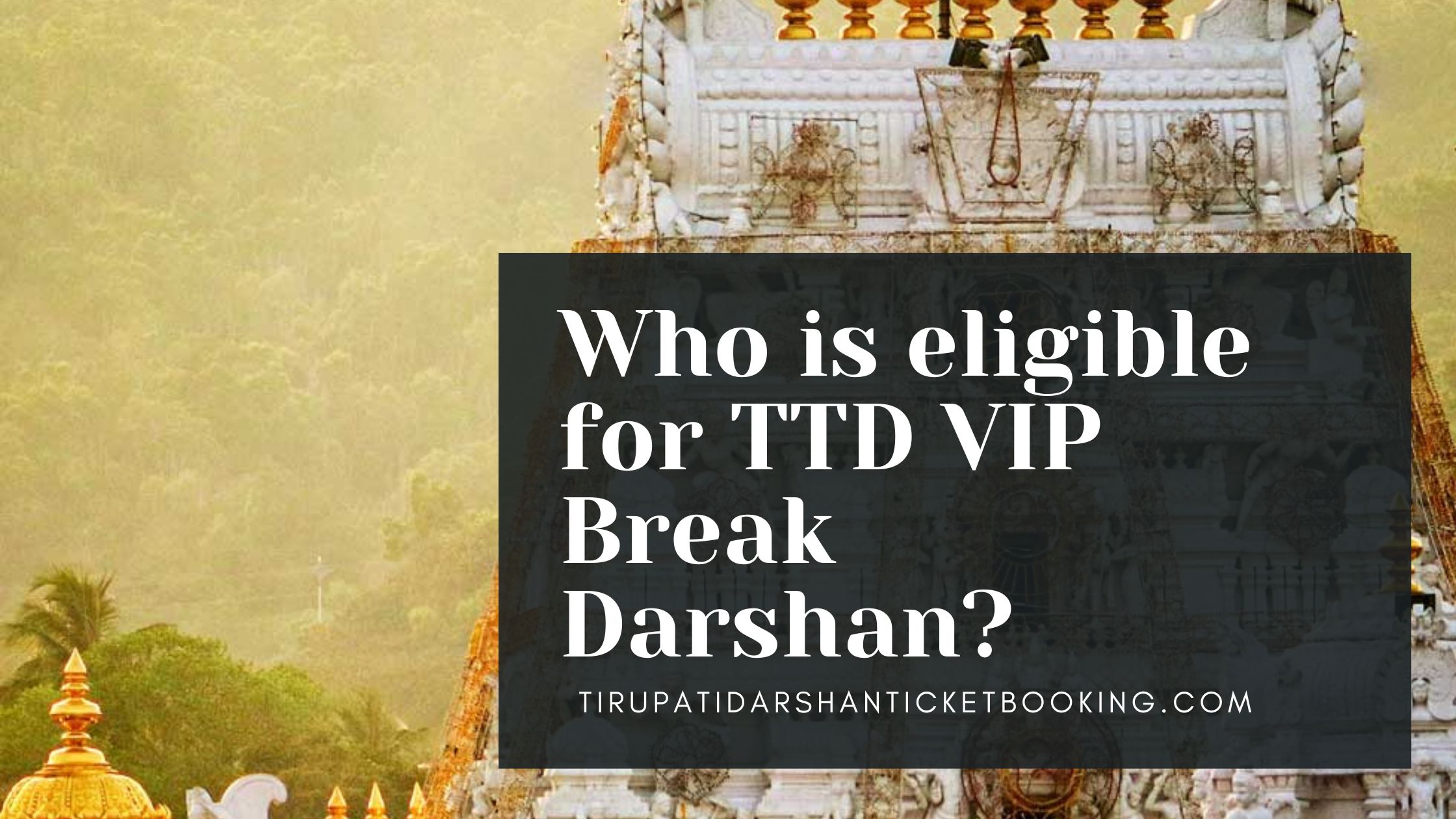 Who is eligible for TTD VIP Break Darshan?                                                                             